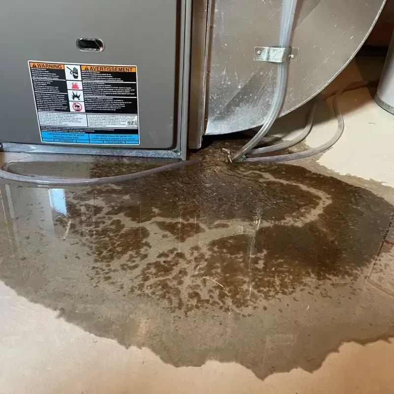 Appliance Leak Cleanup in Fairfield Glade, TN